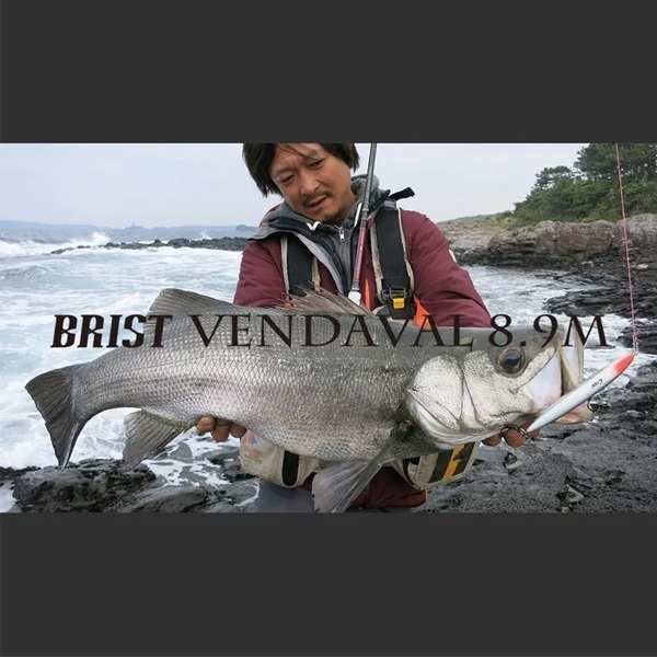 BRIST VENDAVAL